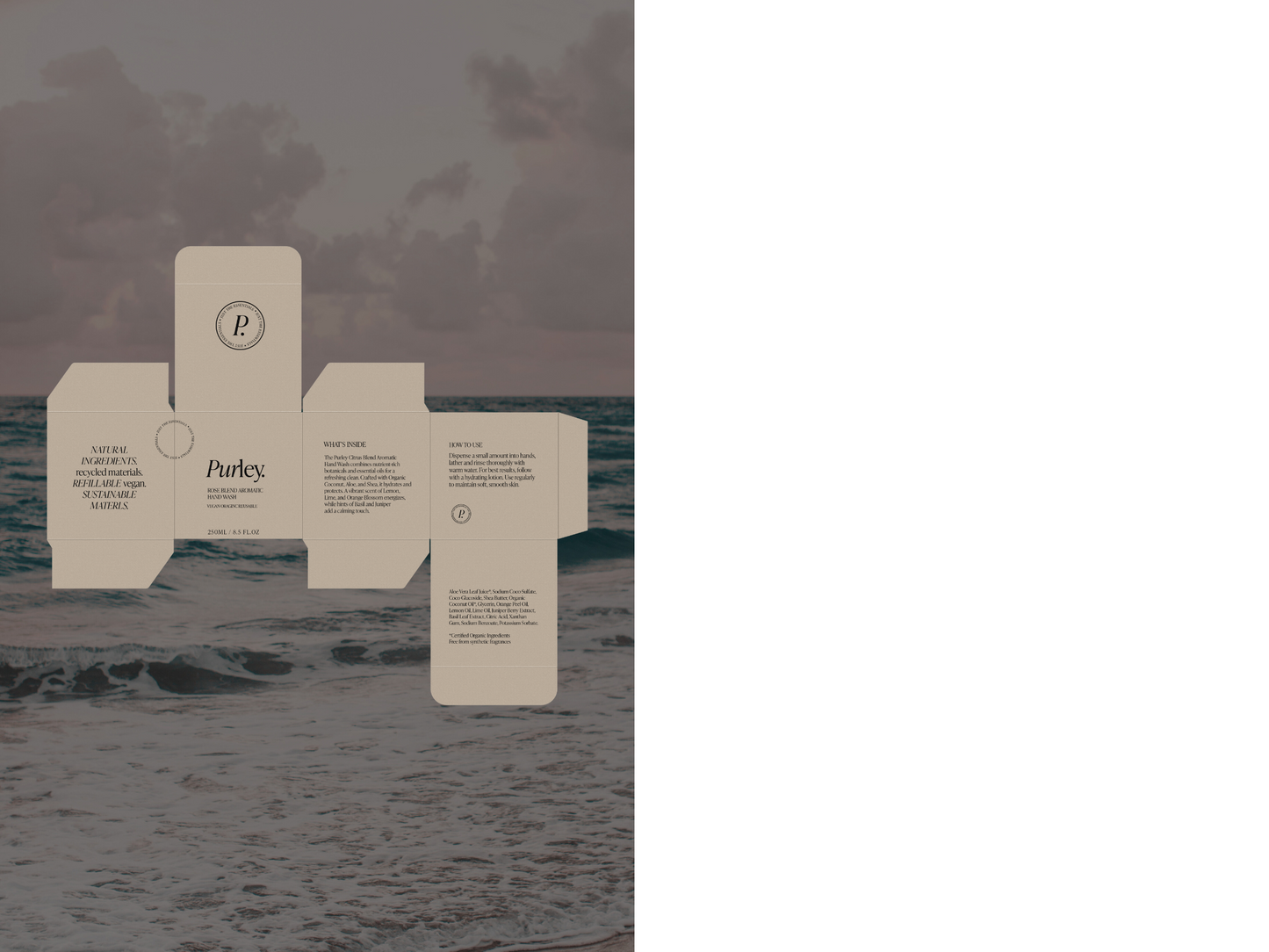 Brand & Logo